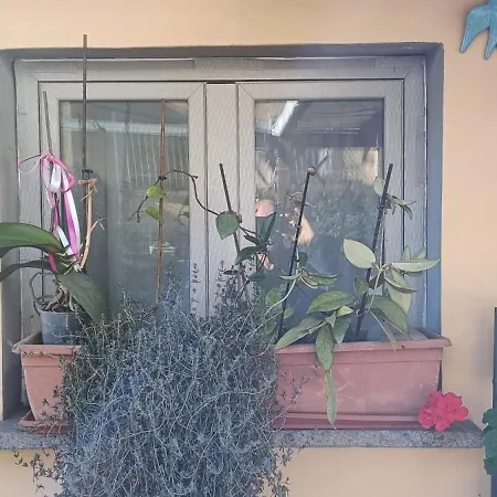 Casa Glicine * פיומבינו